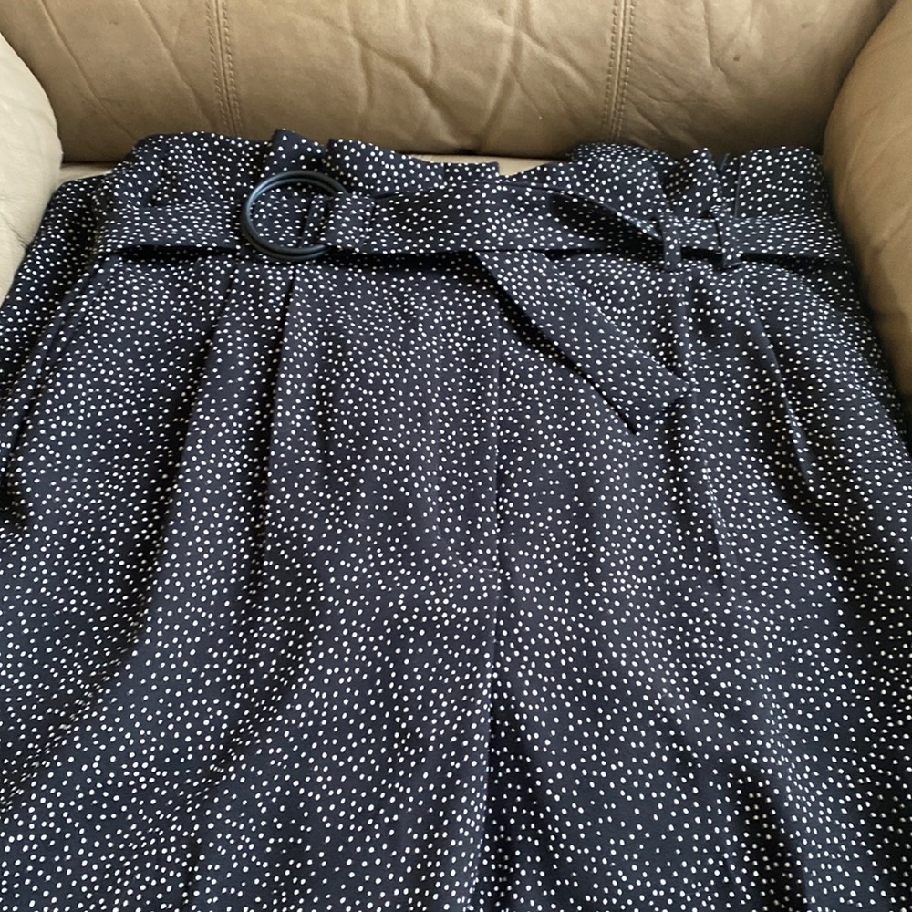 Express dress pants